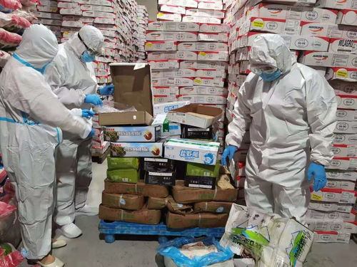 烏蘭察布市場監管局強化進口冷鏈食品與奶制品監管，突擊檢查批發及進出口環節