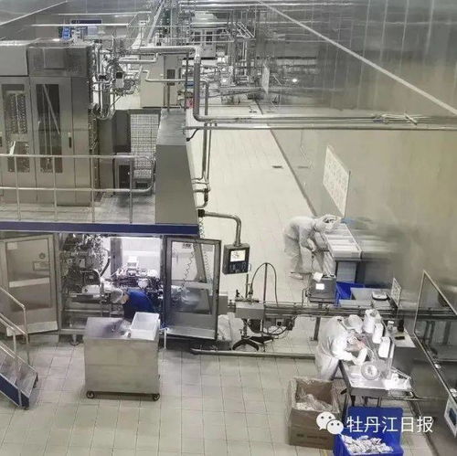 中俄跨境乳制品加工廠項(xiàng)目 前5個(gè)月產(chǎn)值增長超300%，奶制品批發(fā)與進(jìn)出口蓬勃發(fā)展