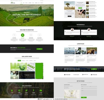 網站設計與軟件開發 視覺與技術的完美融合