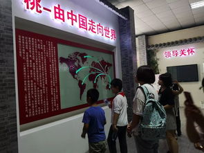 桃香引巧思，非遺潤(rùn)童心——奉賢錢(qián)橋?qū)W校暑期親子體驗(yàn)活動(dòng)側(cè)記